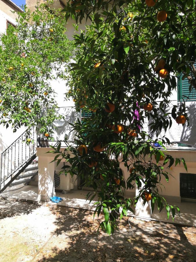 Garden House: Apartments And Rooms For Holidays Παλέρμο Εξωτερικό φωτογραφία